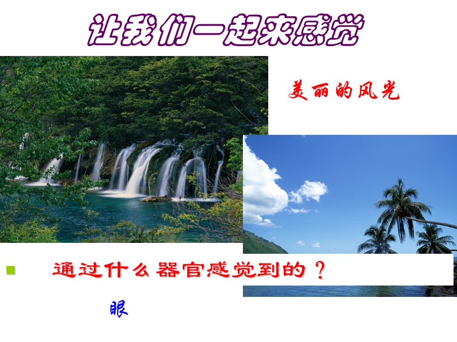 浙教版七下科学感觉世界.ppt_第2页