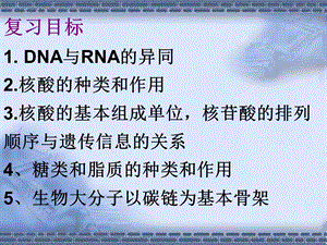 生物一轮复习资料-核酸、糖类、脂质.ppt