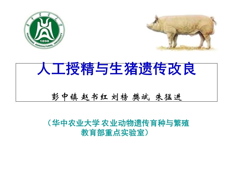 猪人工授精与生猪遗传改良.ppt_第1页