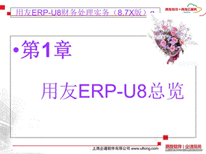 用友U8财务处理实务.ppt