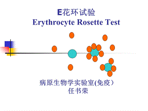 淋巴细胞分离技术.ppt