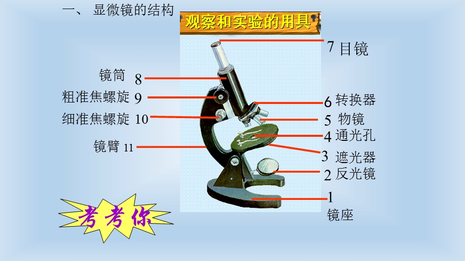 细胞是生物体的结构和功能单位复习.pptx_第3页