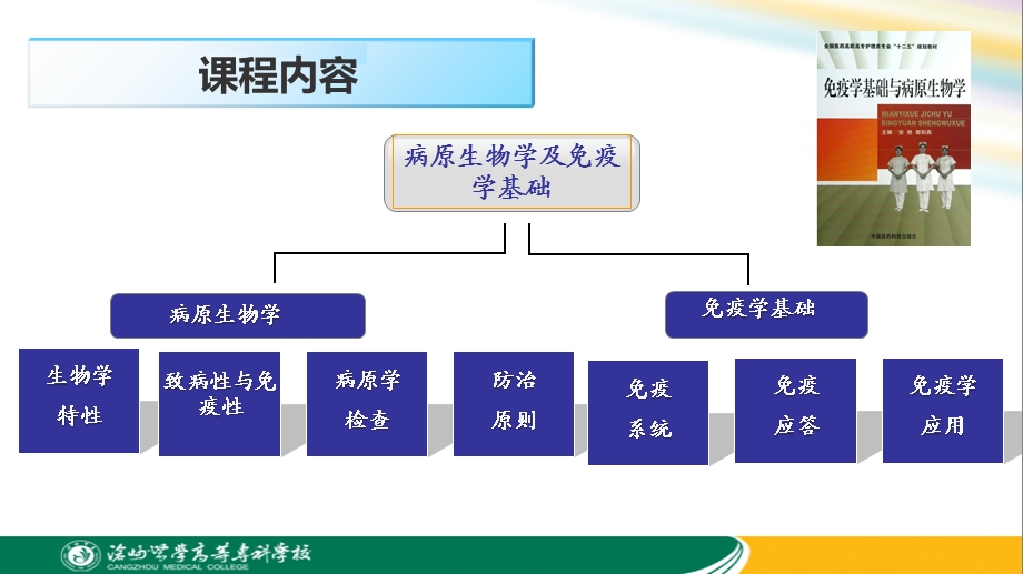 病原生物学及免疫学基础护.ppt_第2页