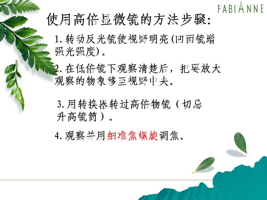 走近细胞-高倍显微镜使用.ppt_第3页