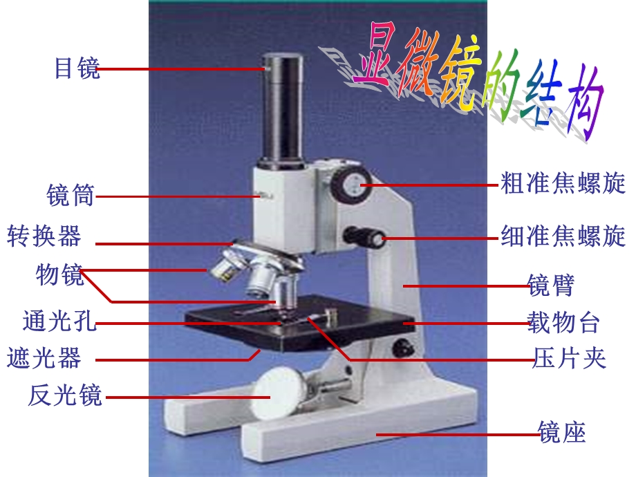 生物中考复习资料专题图课件人教版.ppt_第1页