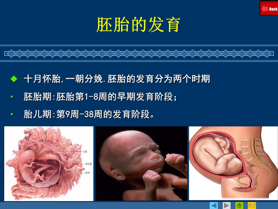 课题四双胎、多胎和联体双胎改.pptx_第1页