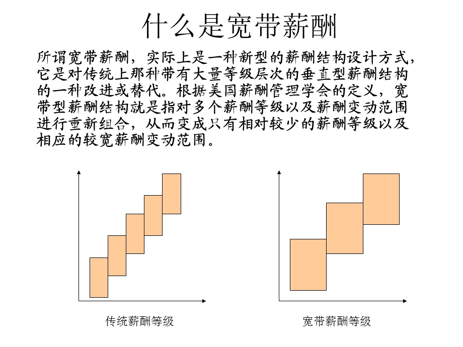 薪酬设计与管理-薪酬制度的新发展.ppt_第2页