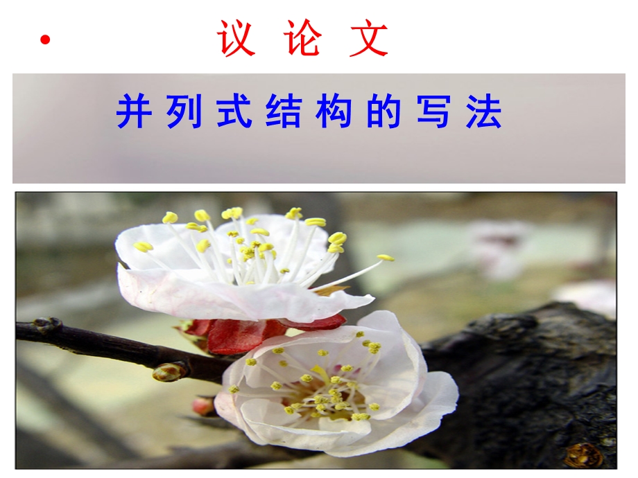 议论文并列结构的写法.ppt_第1页