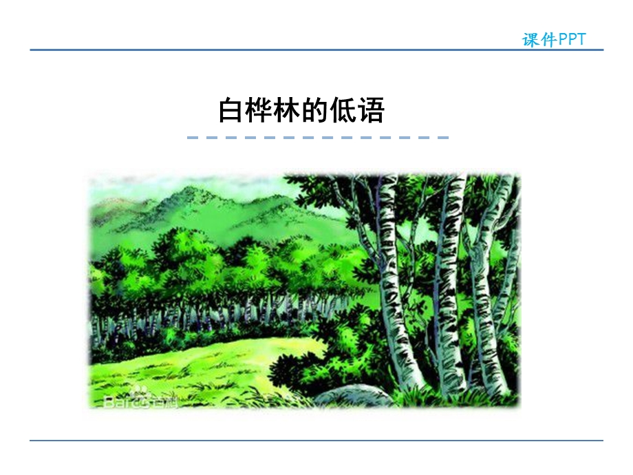 语文 白桦林的低语.ppt_第1页