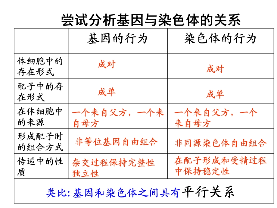 遗传的染色体学说l.ppt_第3页