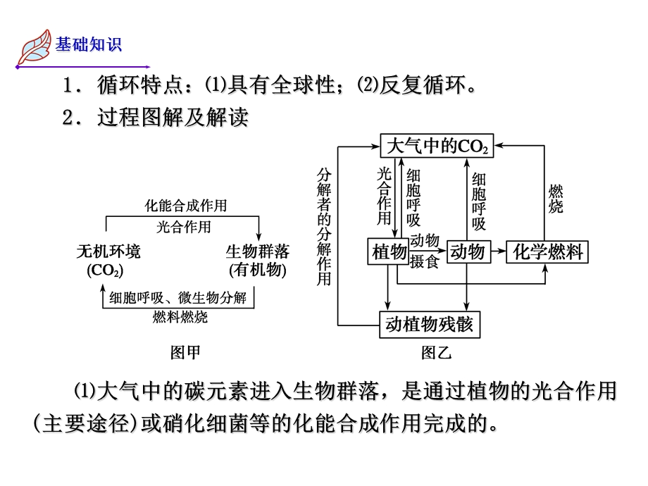 生态系统物质循环信息传递复习.ppt_第2页