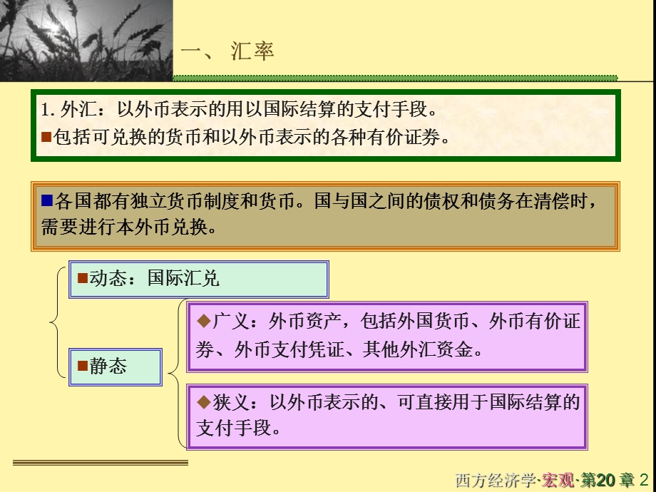 财大微观经济学课件第二十章.ppt_第2页