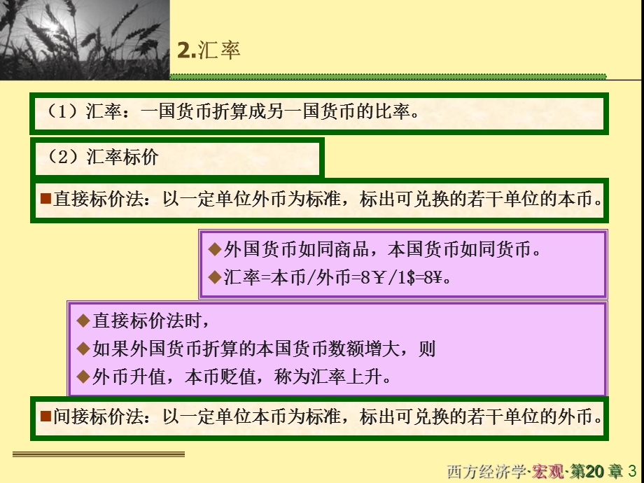 财大微观经济学课件第二十章.ppt_第3页