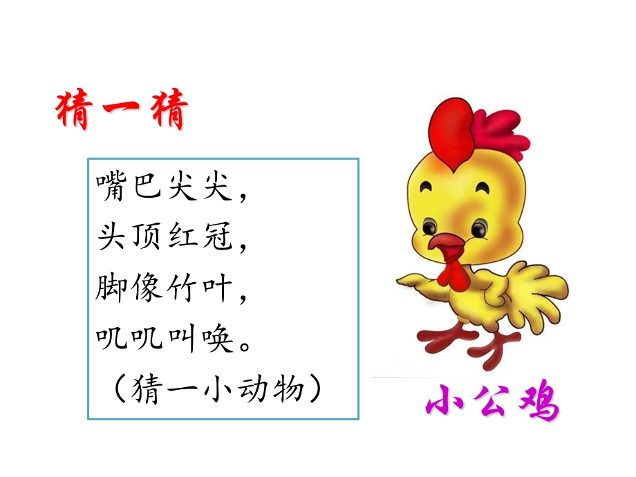 部编本一年级下《小公鸡和小鸭子》.ppt_第1页