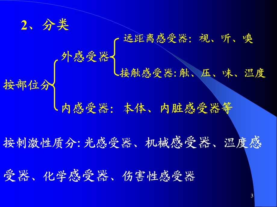 研大考研-感觉器官的功能.ppt_第3页