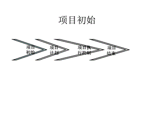 电子商务项目的可研与立项.ppt