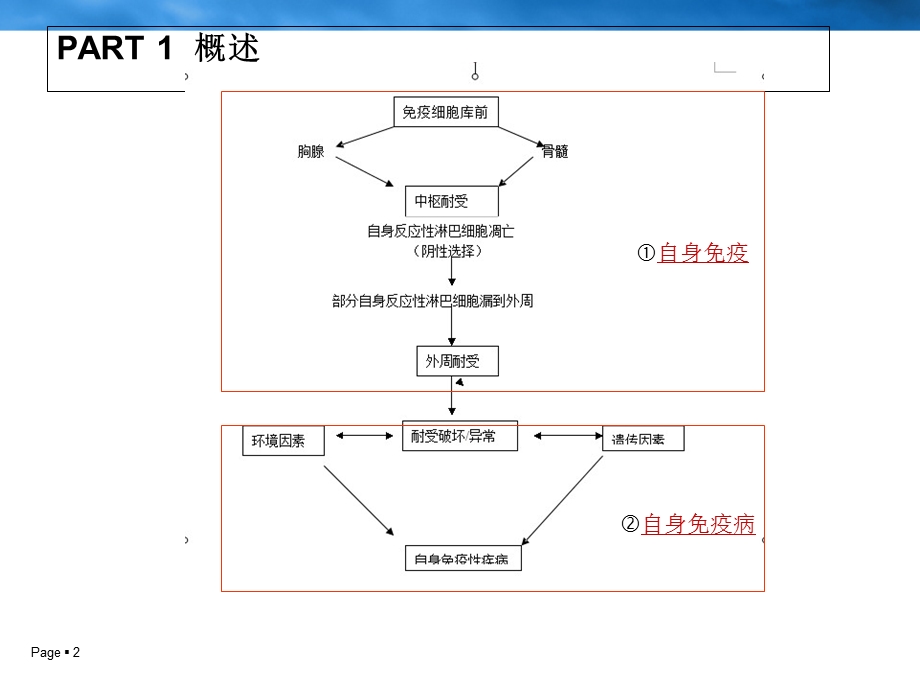 自身免疫与自身免疫病.ppt_第2页