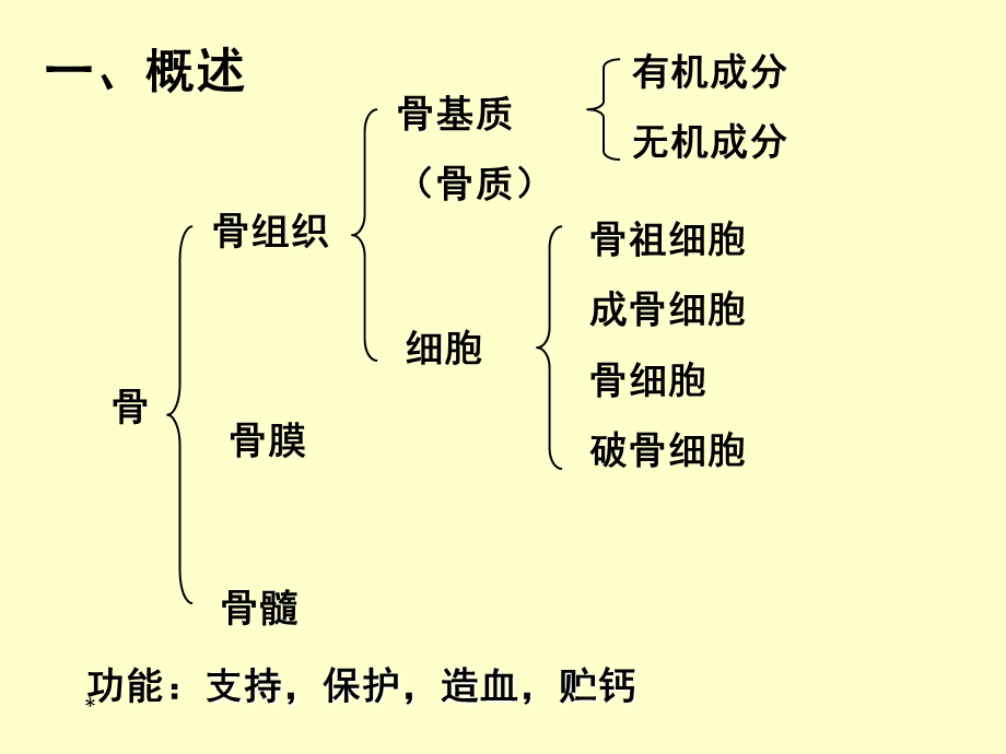 组织学与胚胎学第5章骨.ppt_第2页