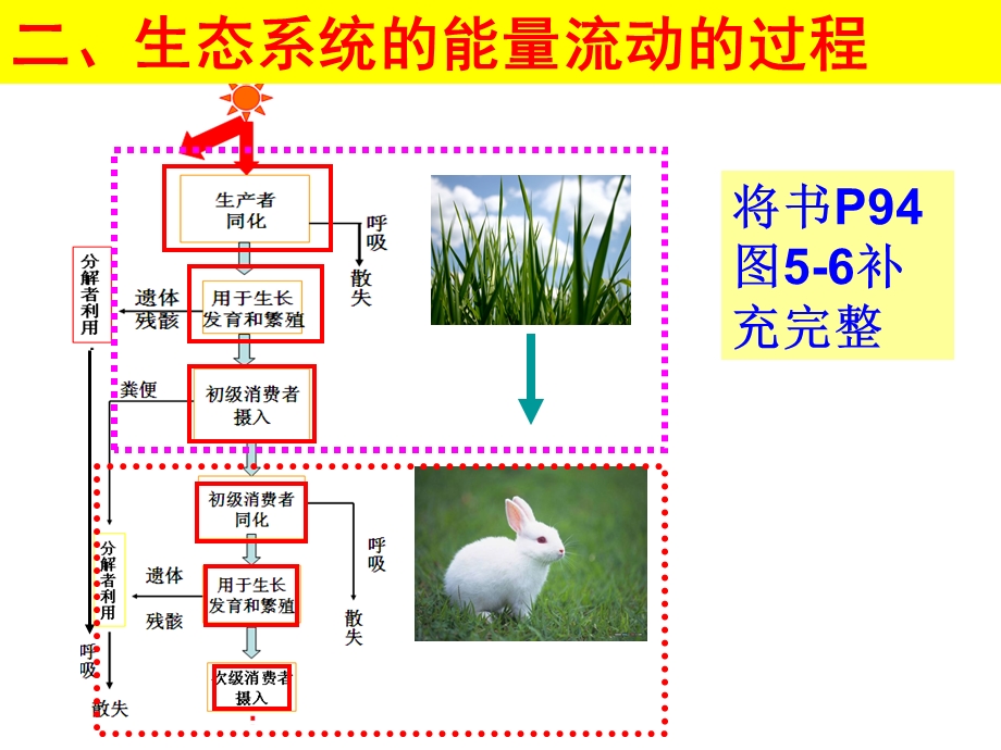 生物高二5.2笔记整理.ppt_第1页