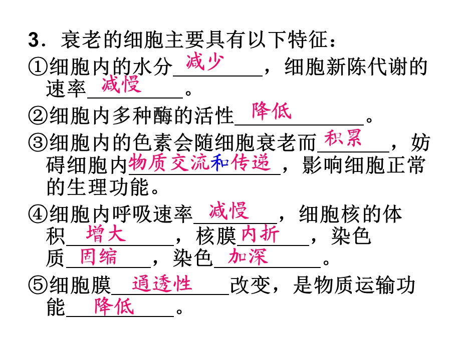 细胞分化衰老凋亡.ppt_第3页