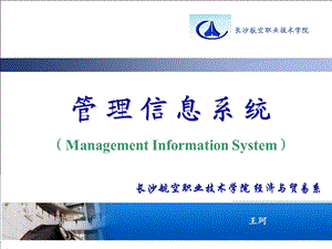 管理信息系统开发.ppt