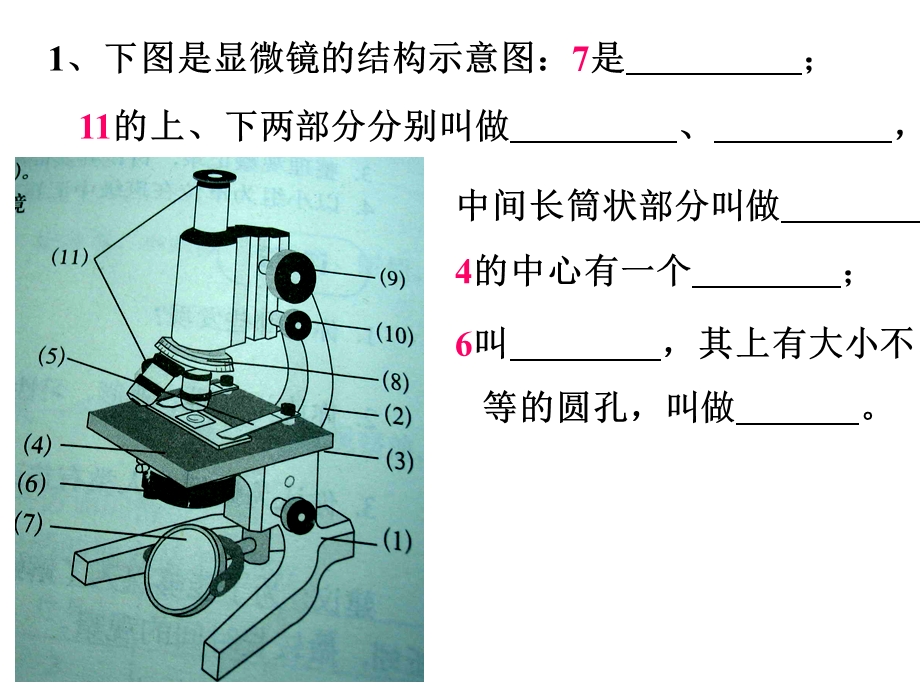 浙教版科学七上教学课件-2.2细胞(第三课时)制作临时装.ppt_第1页