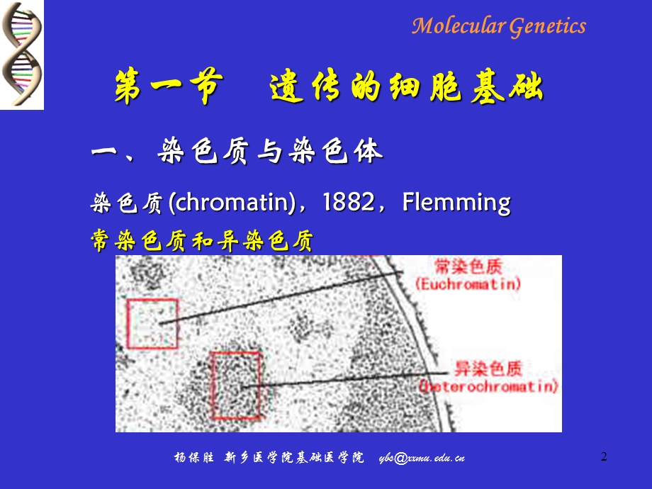 遗传的细胞分子基础070911研究生A.ppt_第2页