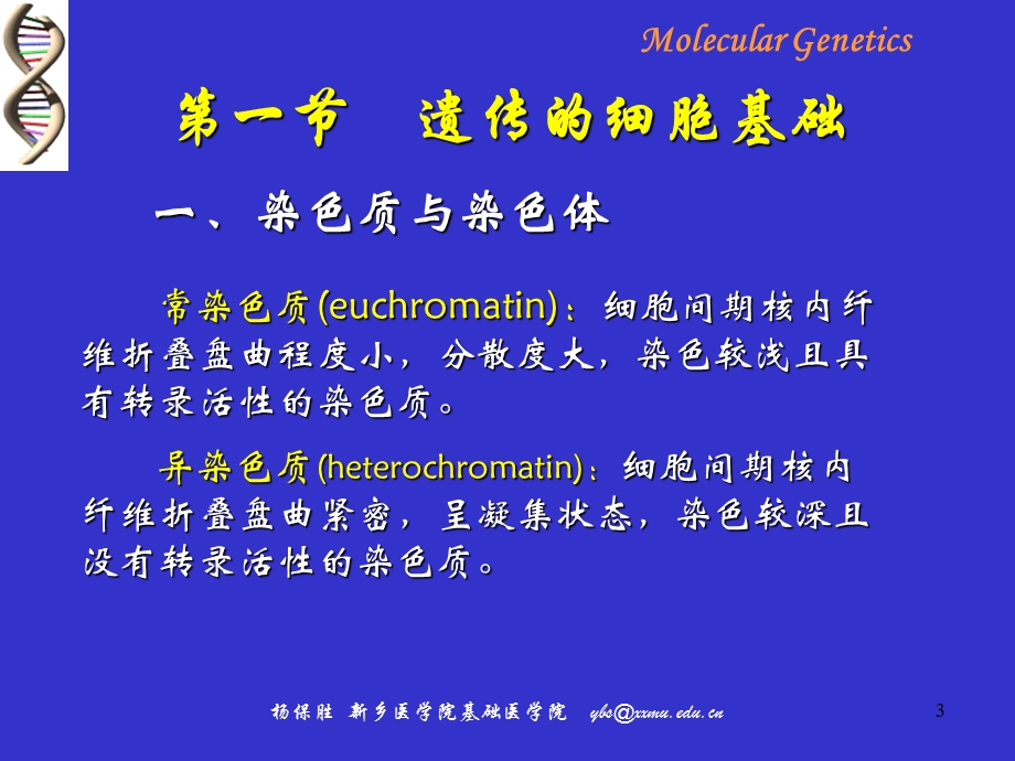 遗传的细胞分子基础070911研究生A.ppt_第3页