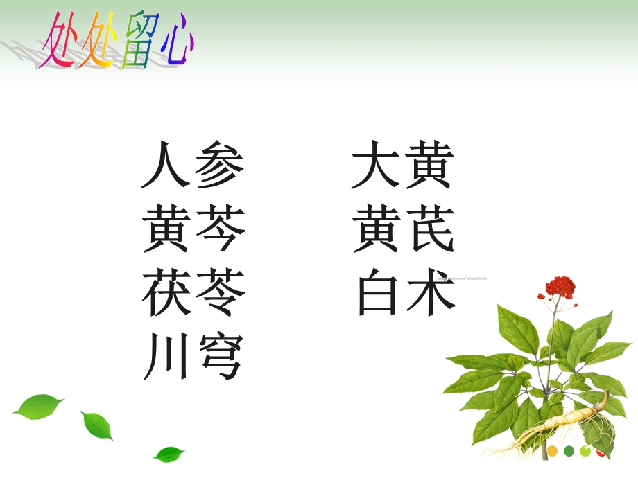 苏教语四下练习.ppt_第2页