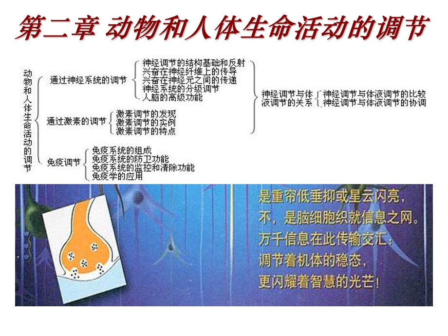 稳态与环境免疫调节.ppt_第1页