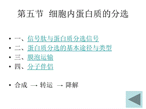 细胞内蛋白质的分选.ppt