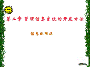 管理信息系统-开发.ppt