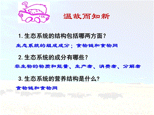 生态系统的能量传递.ppt