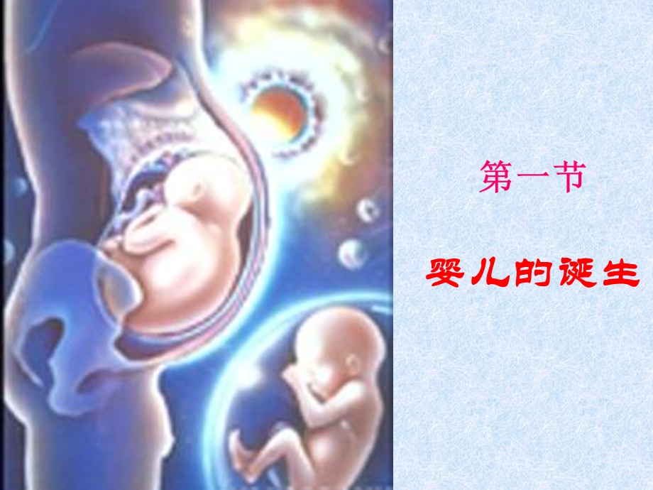 生物上婴儿的诞生课件济南版.ppt_第1页