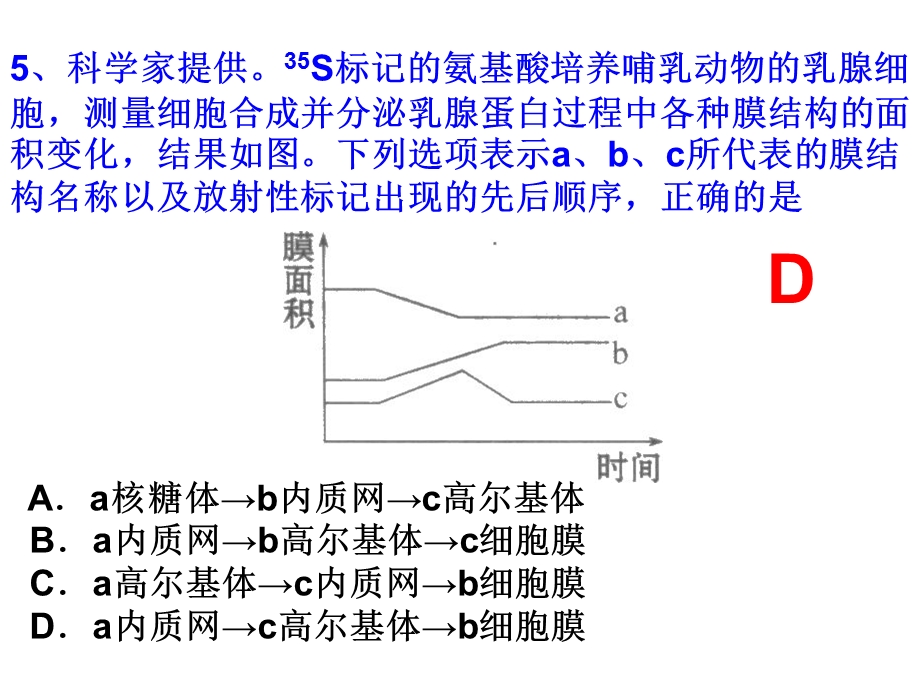 细胞的结构(测试讲评)习题.ppt_第2页