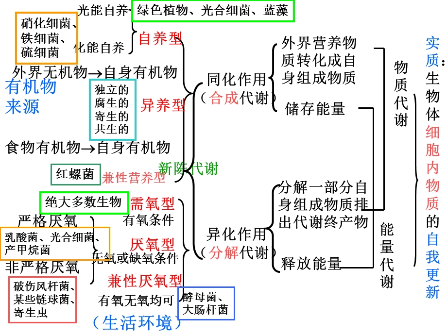 生物学案1细胞代谢.ppt_第3页