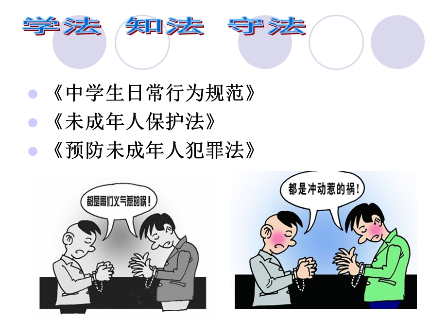 法制教育主题班会课件初二班魏英.ppt_第2页