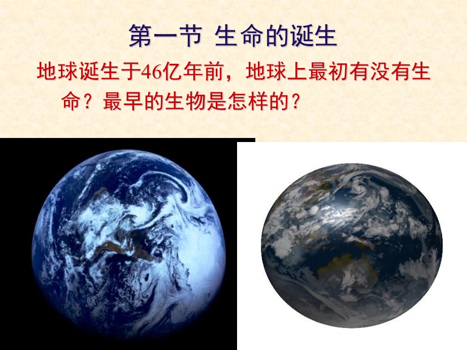 生物《生命的诞生》课件苏教版八年级下.ppt_第2页