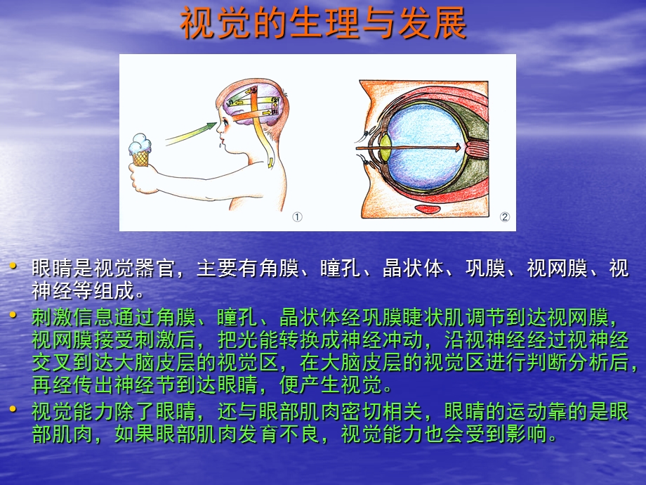 给宝宝一双智慧的眼睛.ppt_第2页