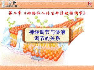 生物学③必修《神经调节与体液调节的关系》.ppt