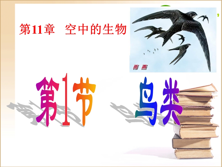 生物《鸟类》授课课件苏科版.ppt_第1页