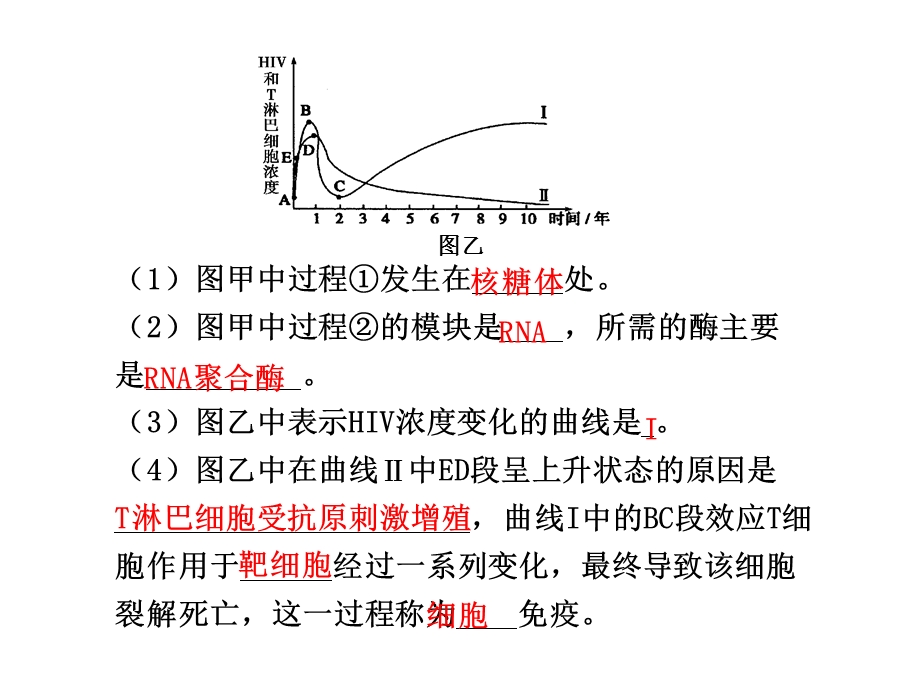 规范答题12有关免疫知识综合应用的案例.ppt_第2页