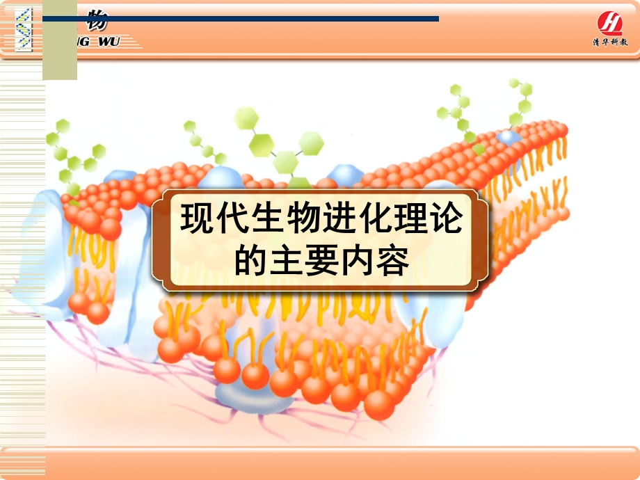 生物学②必修《现代生物进化理论的主要内容》.ppt_第1页