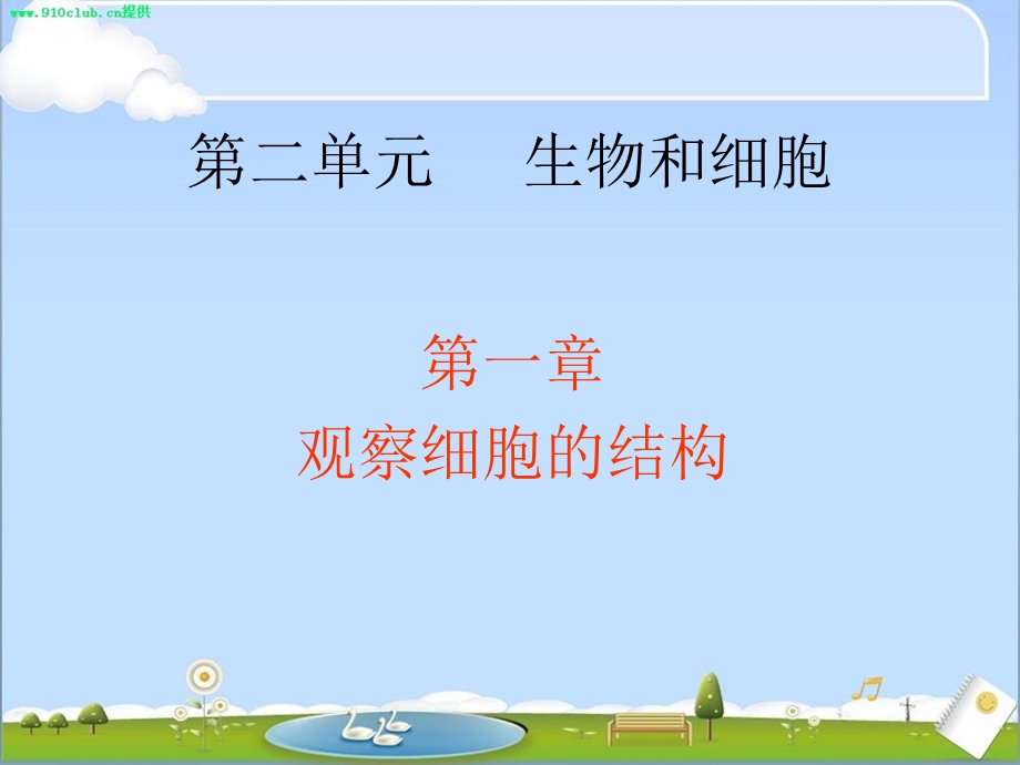 观察植物细胞的结构.ppt_第1页