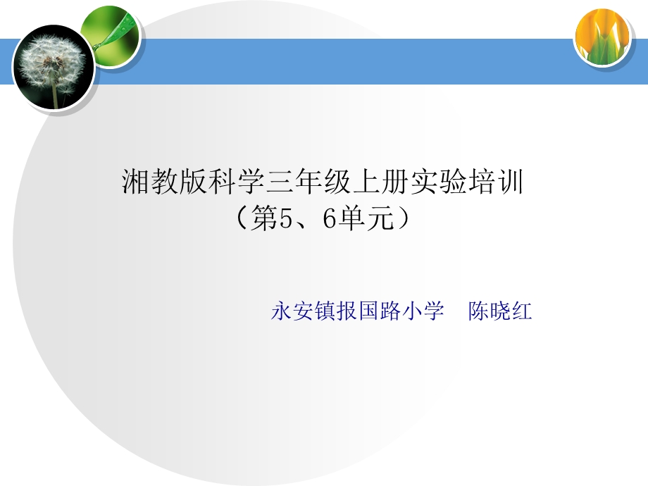 湘教版科学三年级上5、6单元实验操作.ppt_第1页