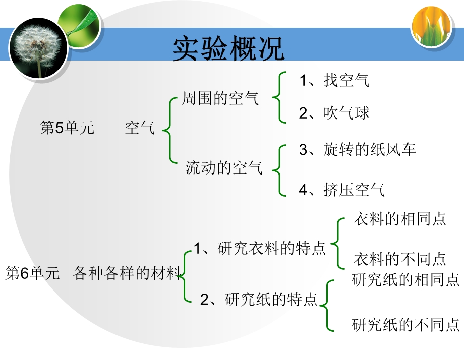 湘教版科学三年级上5、6单元实验操作.ppt_第2页