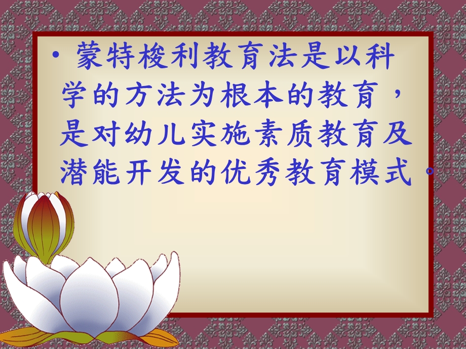 蒙特梭利教育的特色介绍.ppt_第3页