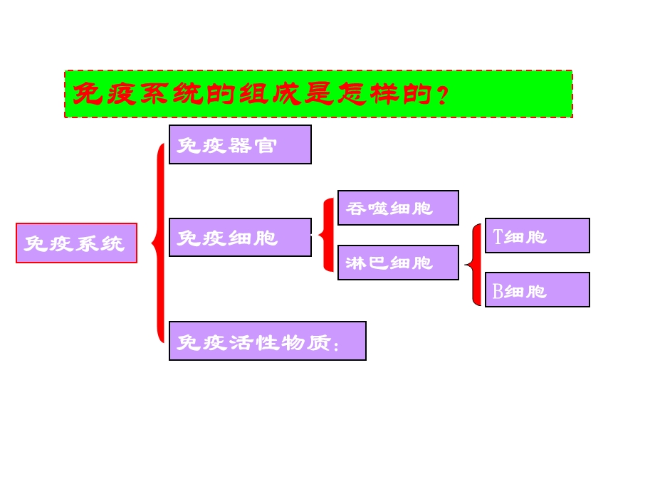 生物复习第31课时.ppt_第2页