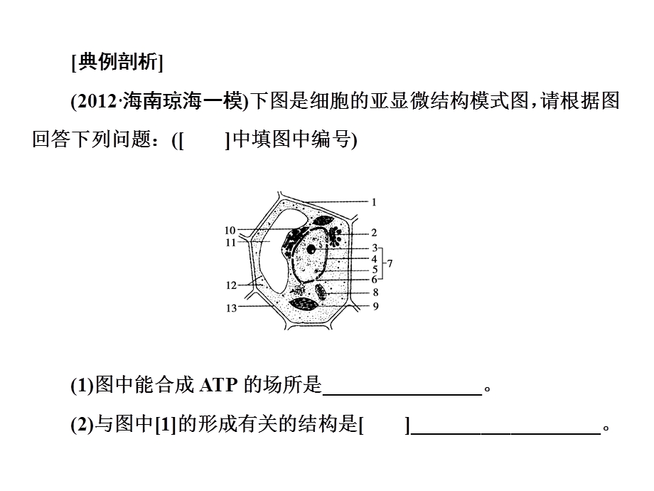 解题技能突破-模式图类解题.ppt_第3页