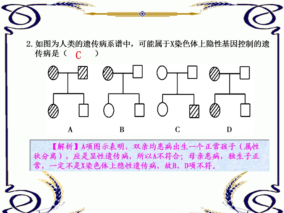 练案21人类遗传病.ppt_第2页